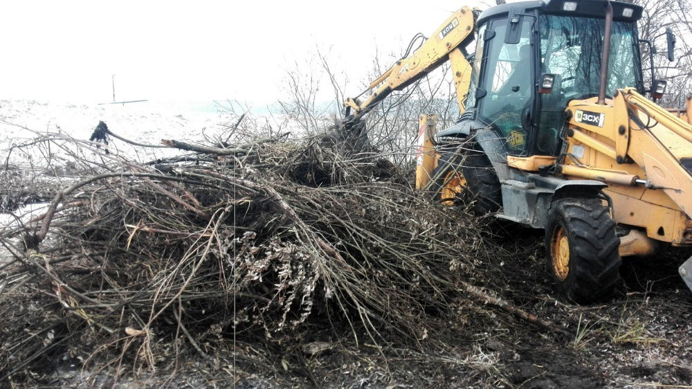 Комплексный вывоз деревьев и порубочных остатков в Новосибирске